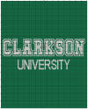 Clarkson University