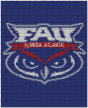 FAU University