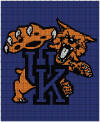 Kentucky Wildcats 175  x175