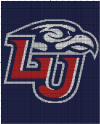 Liberty University