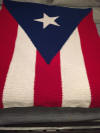 Flag of Puerto Rico- Diane Campbell
